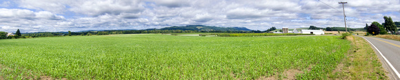 Yamhill County View