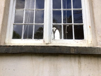 Window Exterior 2