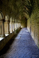 Cloister Light