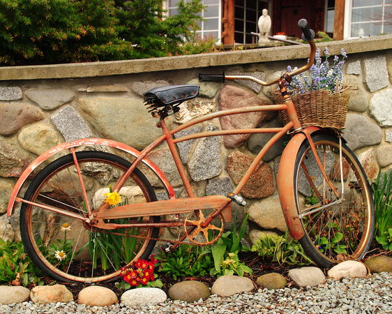 Bicycle as Lawn Art - 2006