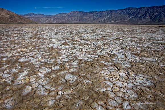 Clark Dry Lake