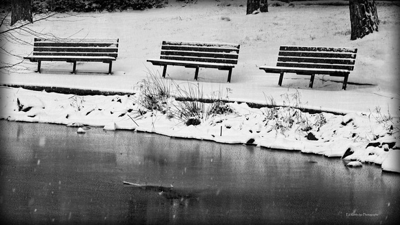 Empty Benches                        (Black & White)