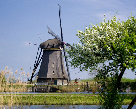 Classic Dutch View