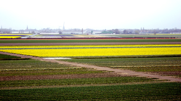 The Fields at Ondermolen