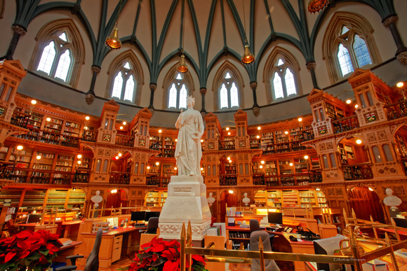 The Library of Parliament