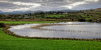 Ballynakill Lough