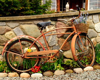 Bicycle as Lawn Art - 2006