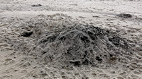 Large "Mole Mound"