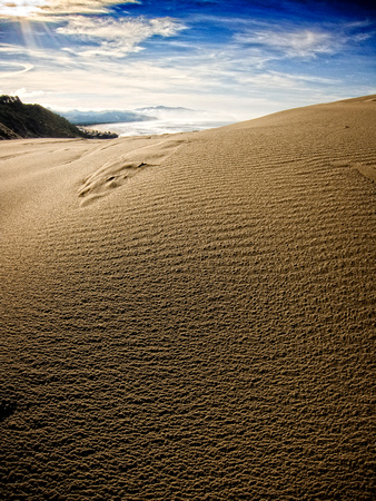 Cape Kiwanda Dune