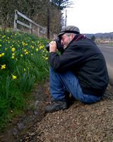 Capturing Daffodils