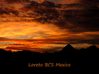 2009 Loreto BCS
